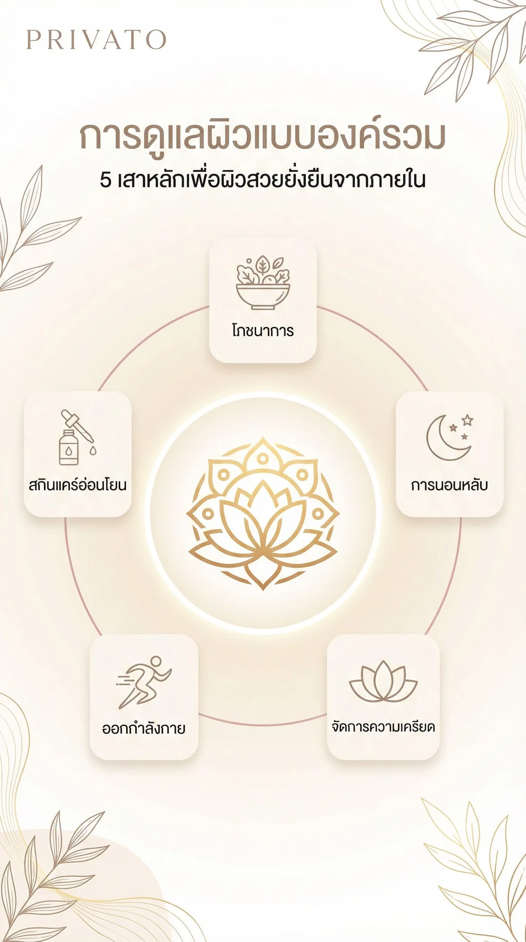 การดูแลผิวแบบองค์รวม (Holistic Skincare) คืออะไร? คู่มือดูแลผิวสวยยั่งยืน Infographic