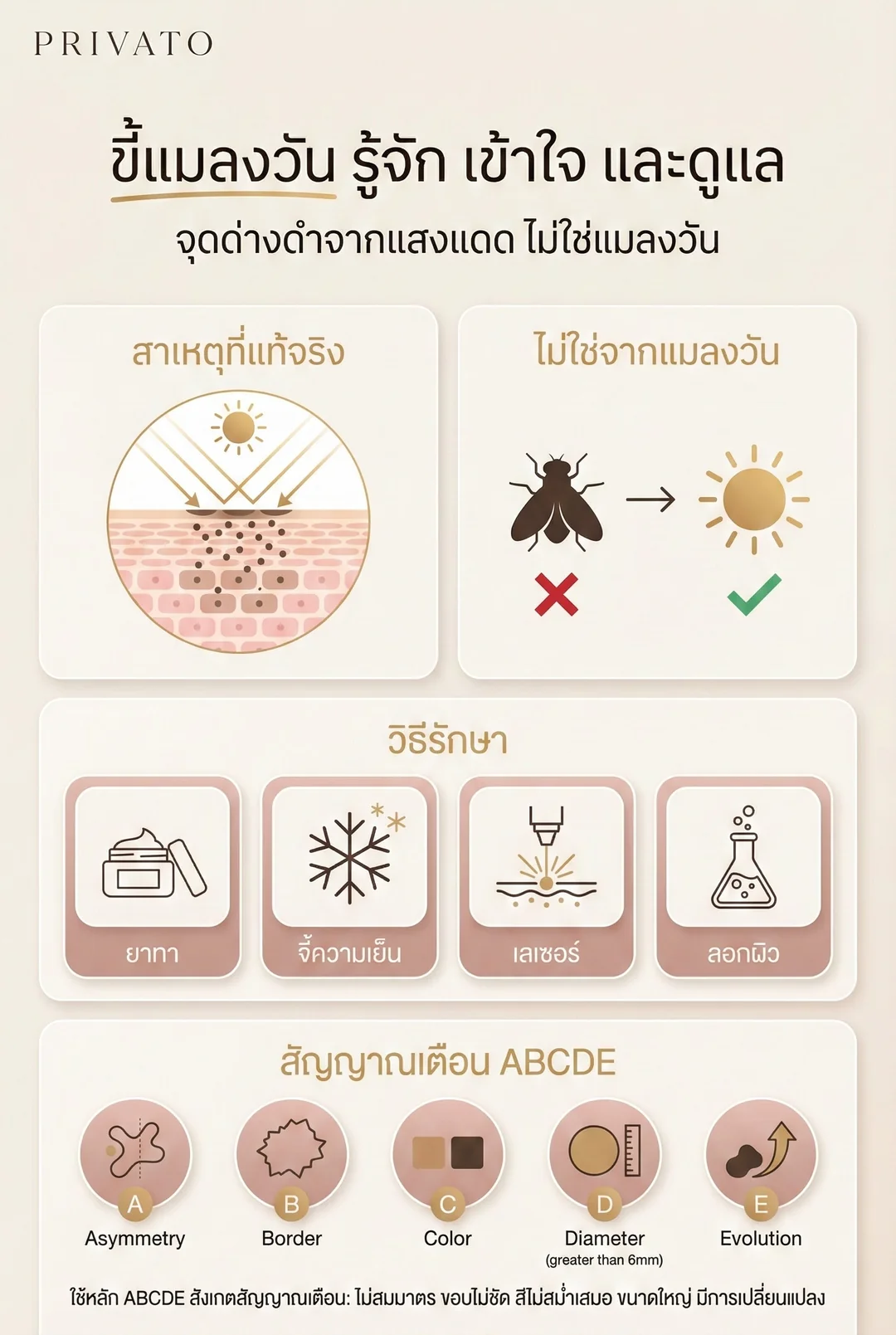 ขี้แมลงวัน infographic