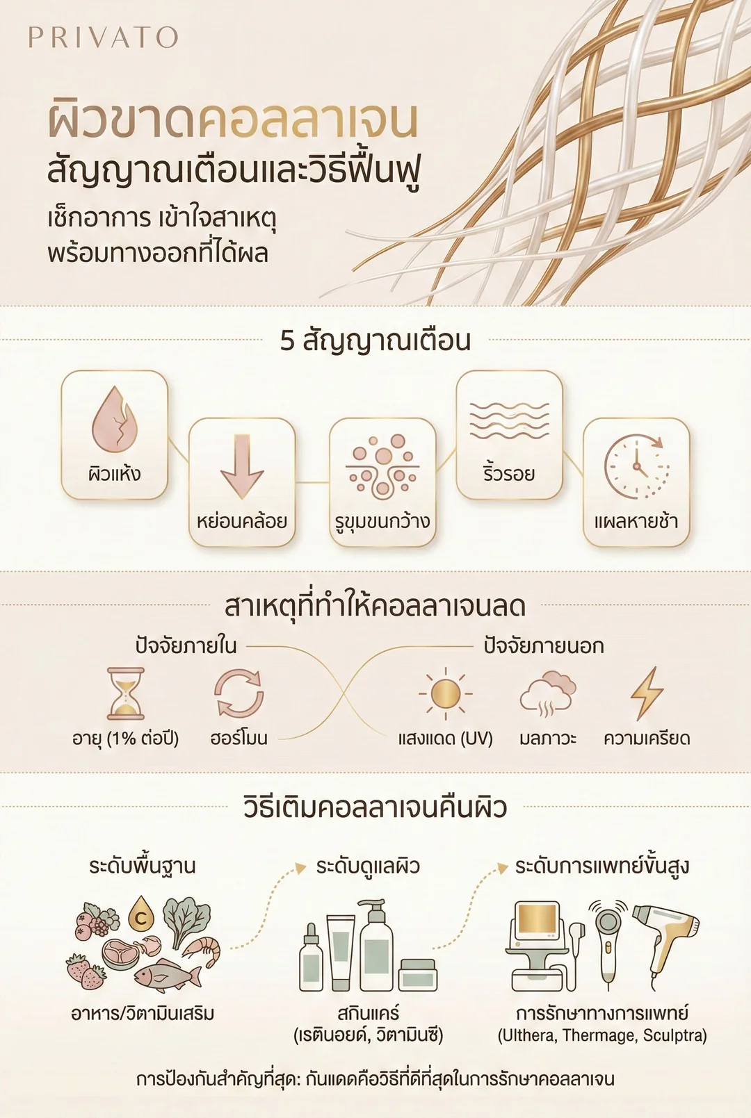 ผิวขาดคอลลาเจน ดูยังไง? เช็กสัญญาณเตือนและวิธีเติมคอลลาเจนคืนความอ่อนเยาว์ Infographic