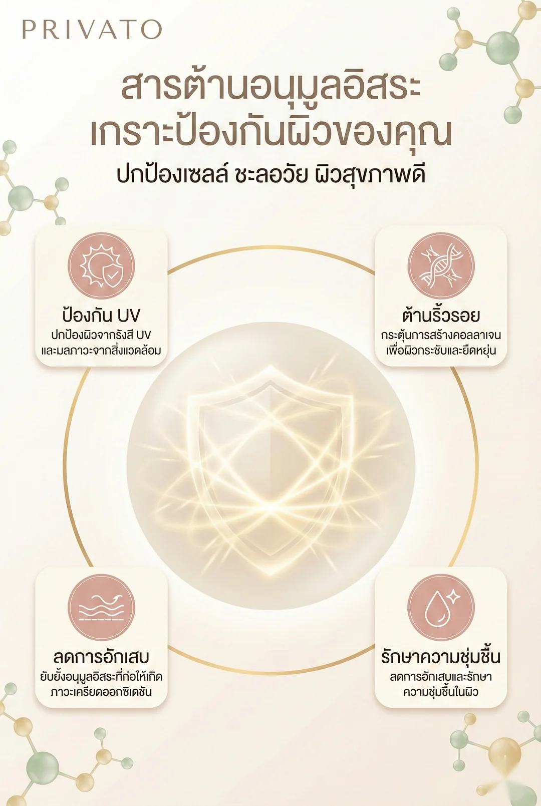 สารต้านอนุมูลอิสระ infographic