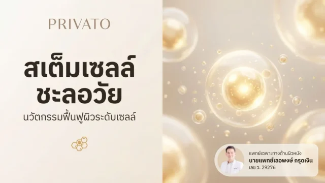 สเต็มเซลล์ ชะลอวัย: นวัตกรรมย้อนวัย ฟื้นฟูผิวและสุขภาพลึกระดับเซลล์