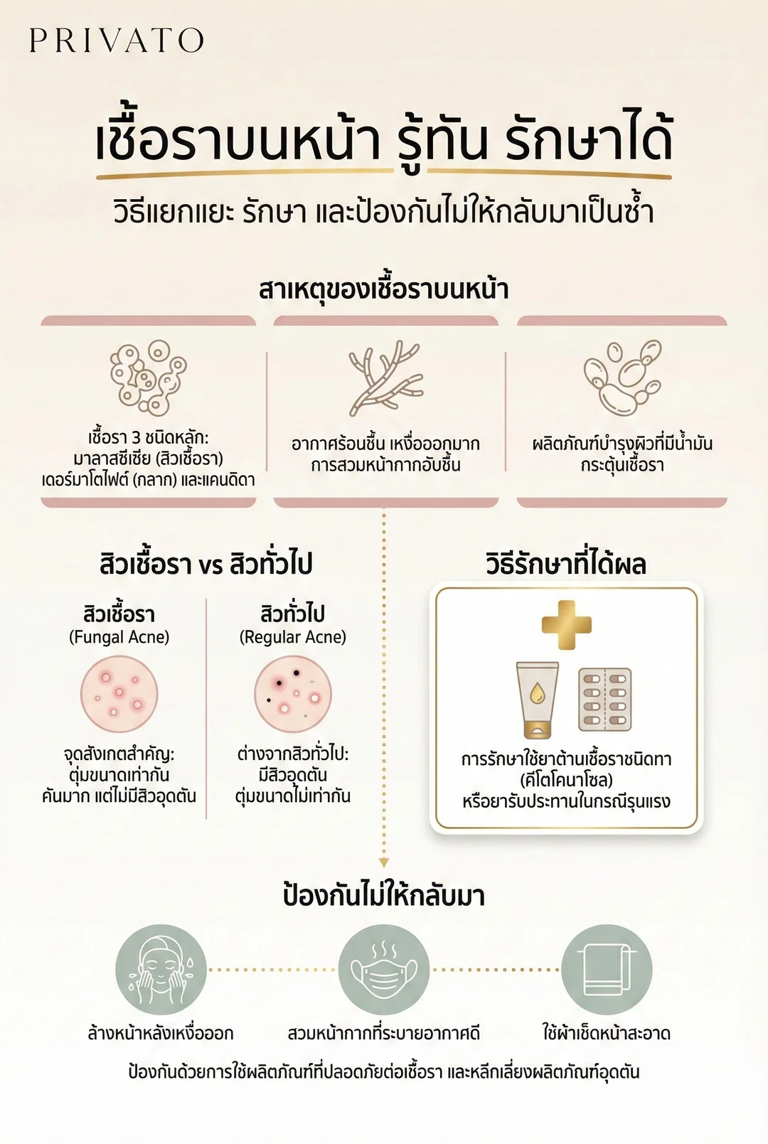 เชื้อราบนหน้า สาเหตุ อาการ และวิธีรักษาให้ผิวกลับมาเรียบเนียน Infographic