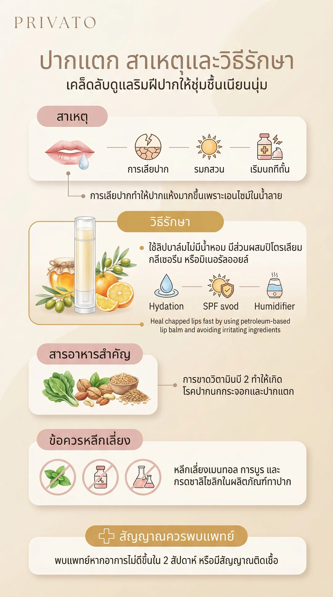 ปากแตกเกิดจากอะไร? รวมสาเหตุ วิธีรักษา และวิธีดูแลริมฝีปากให้เนียนนุ่ม Infographic