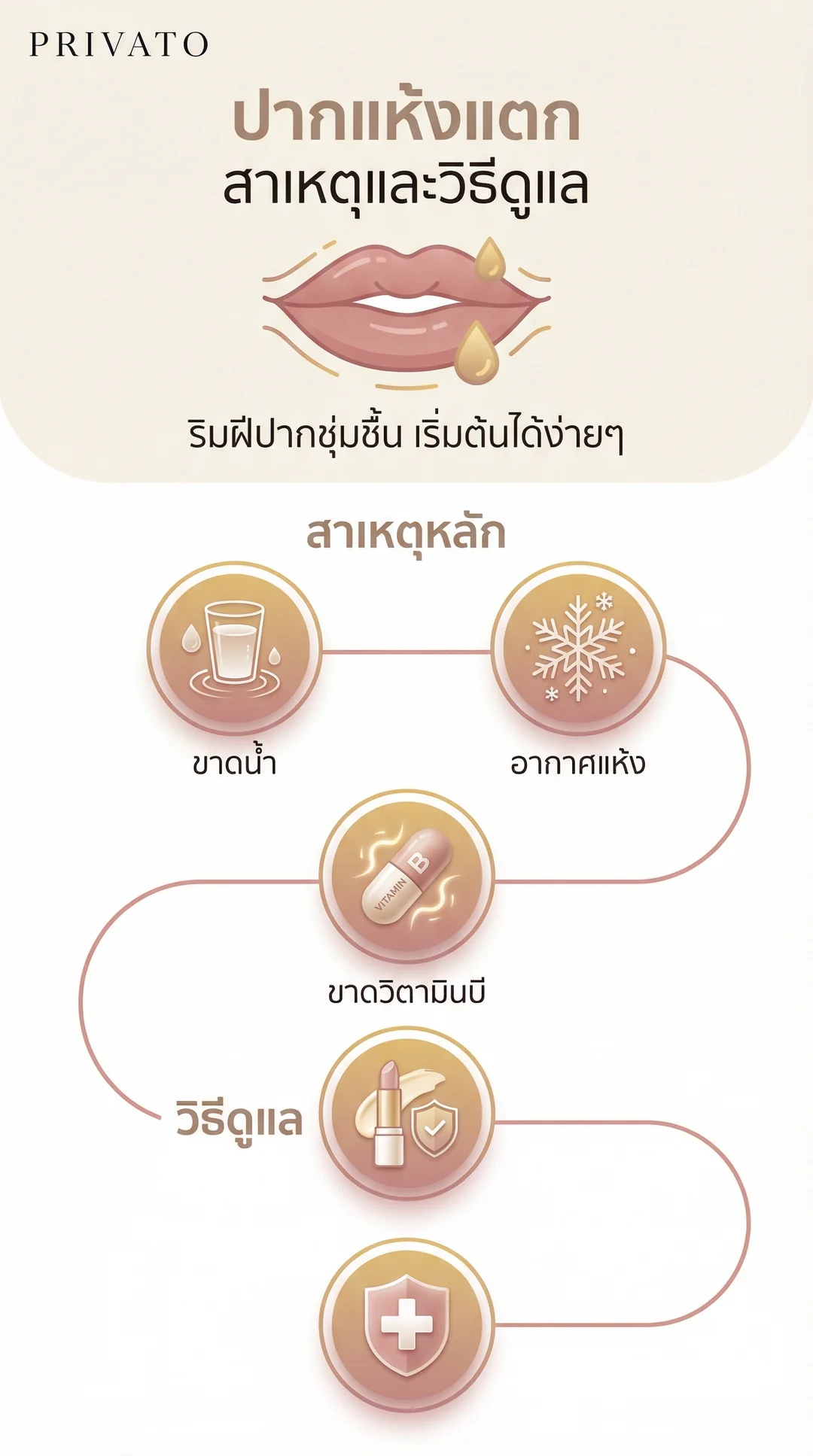 ปากแห้งแตก เกิดจากอะไร? รวมสาเหตุ วิธีแก้ และวิธีรักษาให้ริมฝีปากกลับมาชุ่มชื้น Infographic