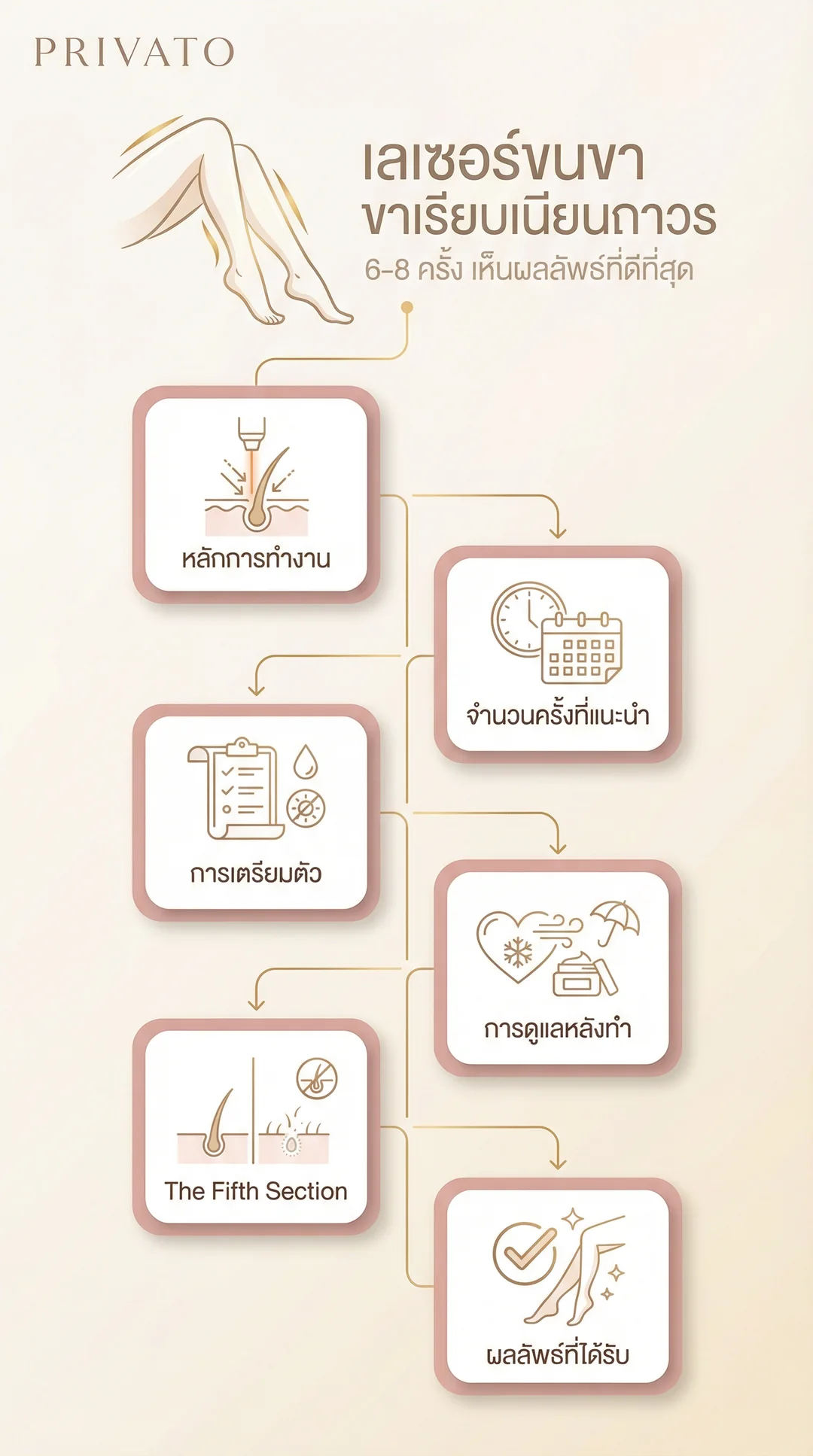 เลเซอร์ขนขา ดีไหม? ช่วยให้ผิวเรียบเนียนถาวร ราคาเท่าไหร่ อัปเดต 2568 Infographic