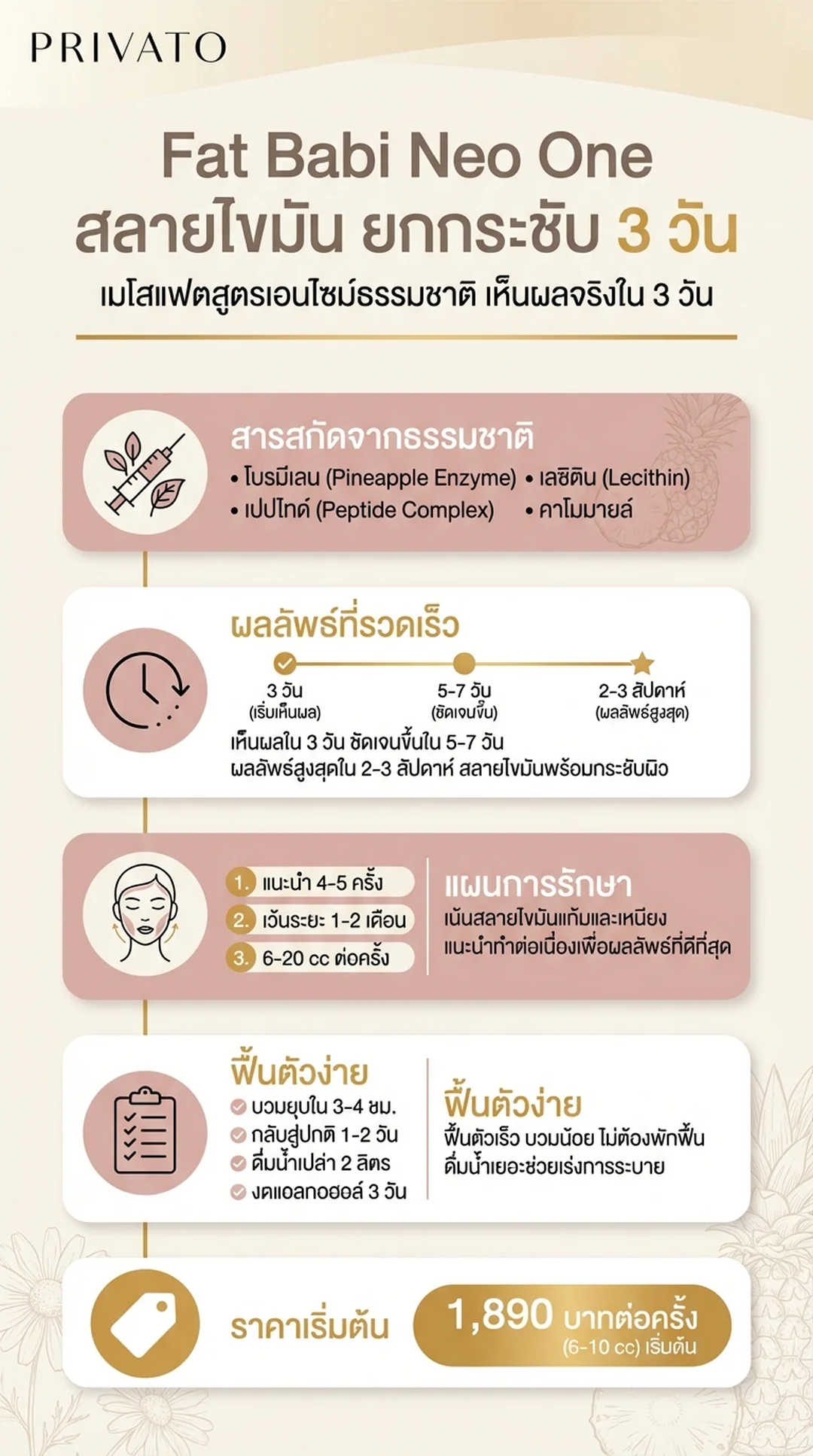 Fat Babi Neo One:เมโสแฟตสลายไขมัน แก้ม/เหนียง/ราคา Infographic