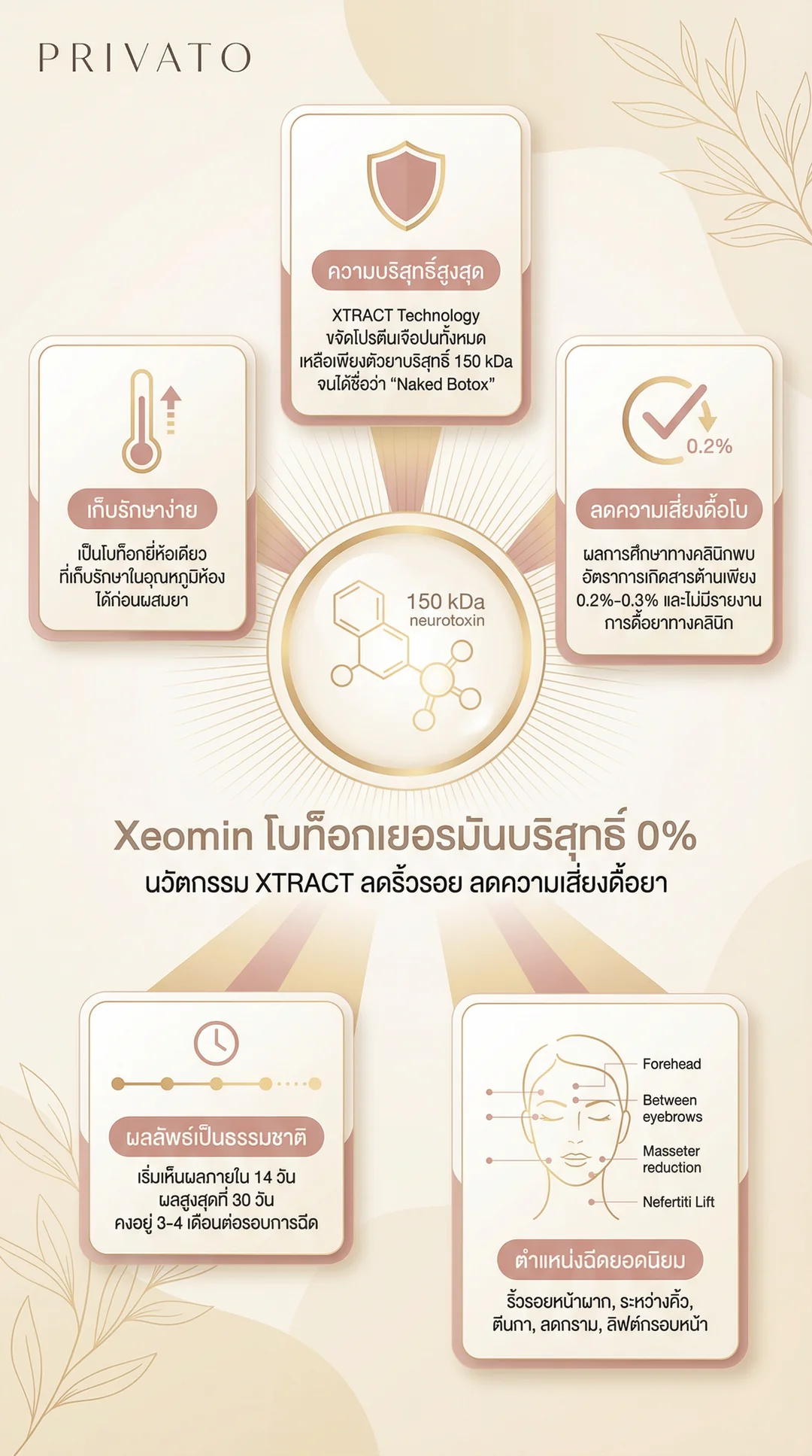 Xeomin คืออะไร? โบท็อกเยอรมันบริสุทธิ์ ลดริ้วรอย/หน้าเรียว Infographic