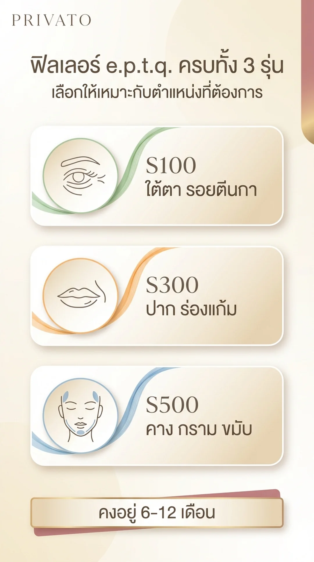 ฟิลเลอร์ e.p.t.q. ดีไหม มีกี่รุ่น ฉีดตำแหน่งไหนคุ้มค่าและปลอดภัยที่สุด Infographic