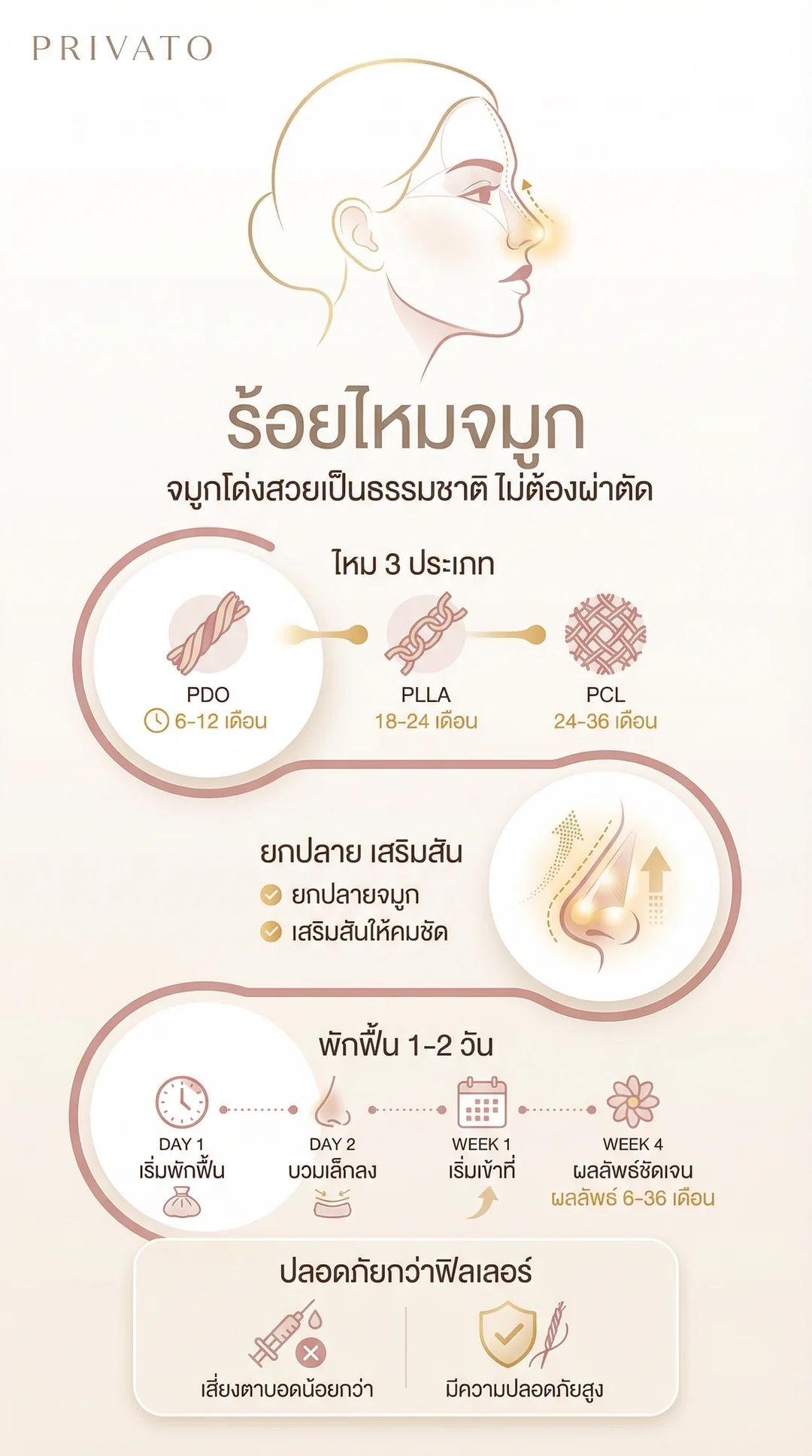 ร้อยไหมจมูก คืออะไร ช่วยให้จมูกโด่งสวยได้จริงไหม พร้อมสรุปข้อดี-ข้อเสีย ปี 2568 Infographic