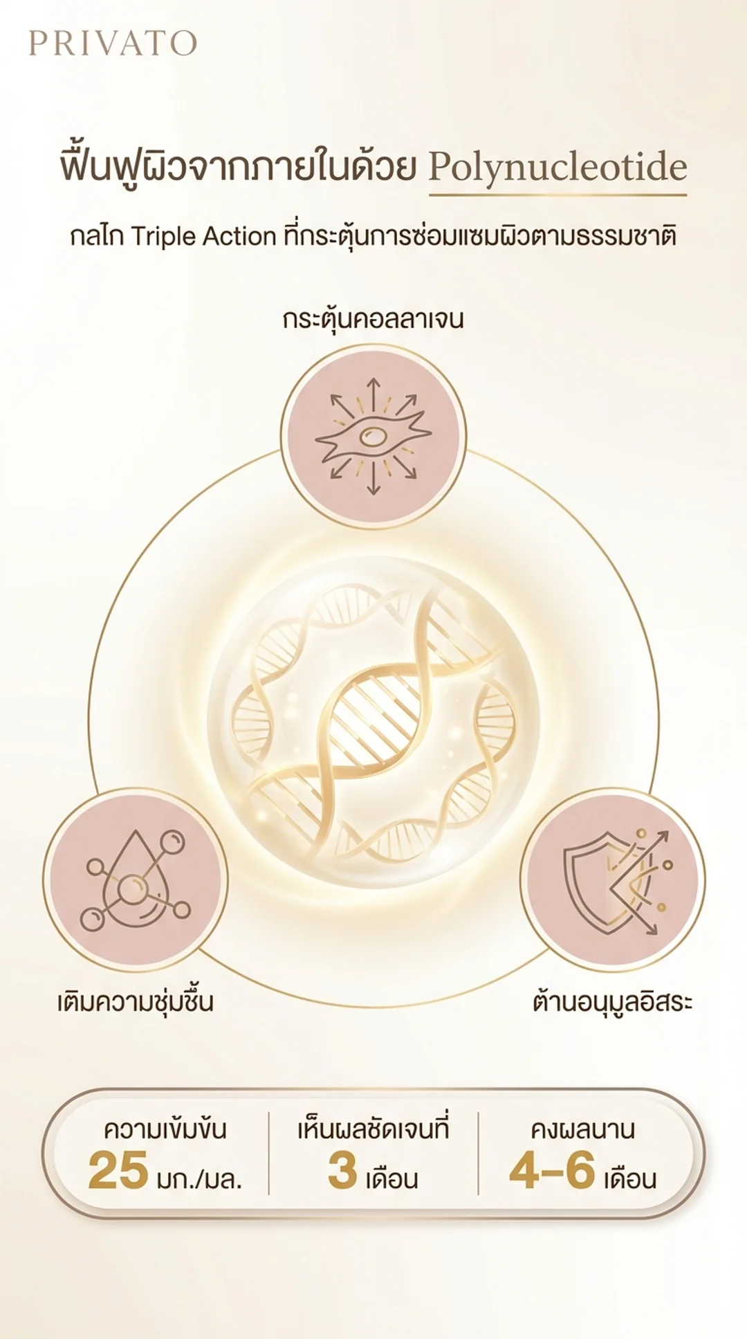 Nucleofill strong infographic