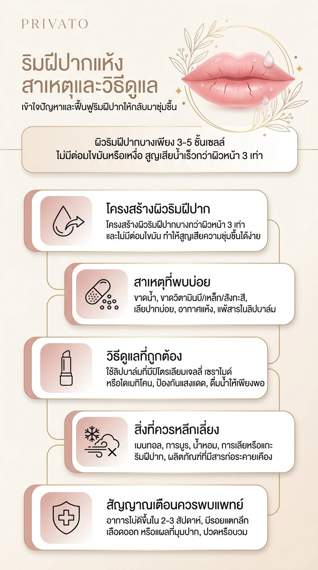 ริมฝีปากแห้งเกิดจากอะไร? รวมสาเหตุ อาการ และวิธีรักษาปากแห้งแตกให้กลับมาเนียนนุ่ม Infographic