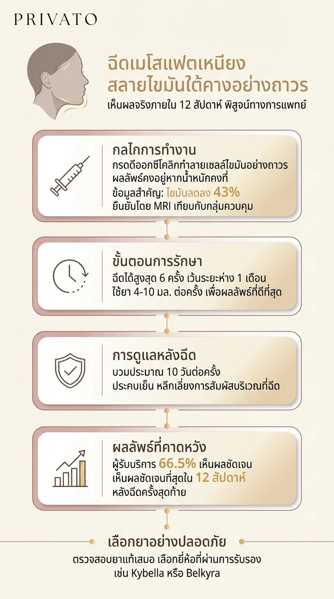 ฉีดเมโสแฟตเหนียง สลายไขมันใต้คาง ปรับรูปหน้าเรียว อัปเดต 2026 Infographic