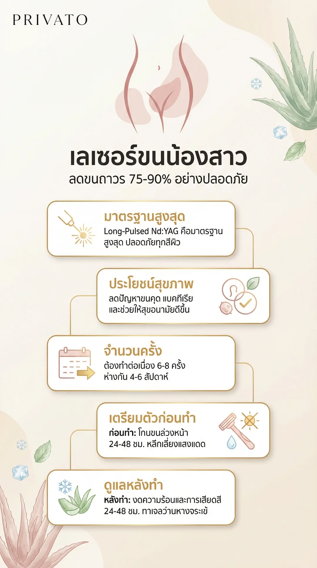 เลเซอร์ขนน้องสาว คืออะไร? เจ็บไหม ราคาเท่าไหร่ อัปเดตล่าสุด 2568 Infographic