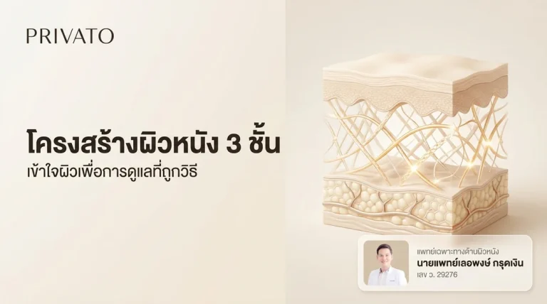 โครงสร้างผิวหนัง 3 ชั้น มีหน้าที่สำคัญอะไรบ้างเพื่อการดูแลผิว